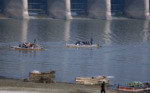 Large number of buffaloes go back after bathing in phuleli canal