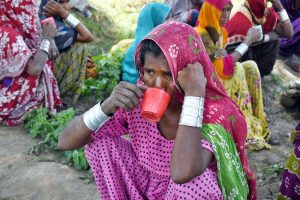 Women farmers are busy with routine work in their field at Bypass.