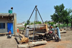 Workers use a simple tripod hoist to lift a large log onto a motorbike trailer at a lumber yard