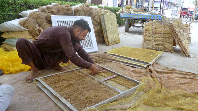 A worker busy preparing ‘khas’ for room-cooler at his workplace