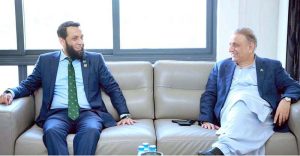 Federal Minister for Information Attaullah Tarar calls on Federal Minister for Communications Abdul Aleem Khan.