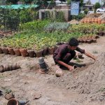 A young worker prepares earthen pots for planting at a roadside nursery, surrounded by rows of saplings and greenery