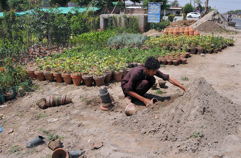 A young worker prepares earthen pots for planting at a roadside nursery, surrounded by rows of saplings and greenery
