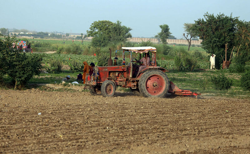 A farmer is busy ploughing and leveling a field with his tractor along Mirpurkhas Road
