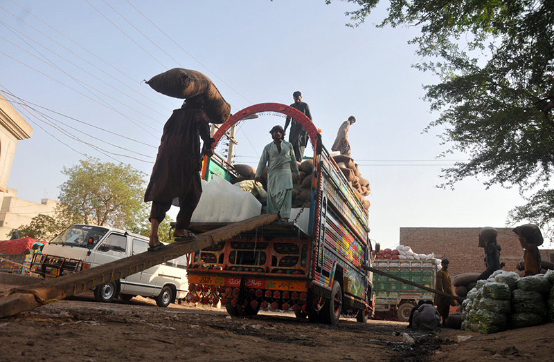 Labourers loading vegetable-filled sacks onto a delivery truck at the Vegetable Market for onward distribution across the city