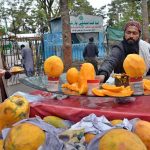 A street vendor displays Papayas to catch the eye of passing customers