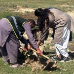 Student planting saplings during a joint tree plantation drive organized by the Parks and Horticulture Authority (PHA) and Beaconhouse School System in Lahore, where thousands of saplings are being planted across various city locations
