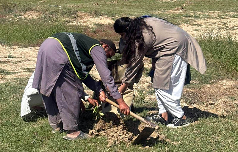 Student planting saplings during a joint tree plantation drive organized by the Parks and Horticulture Authority (PHA) and Beaconhouse School System in Lahore, where thousands of saplings are being planted across various city locations