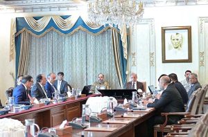 Prime Minister Muhammad Shehbaz Sharif chairs a meeting regarding institution mechanism for public private partnership.