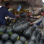 Buyers and sellers engage in the sale and purchase of watermelons in a lively and happy mood at a local market