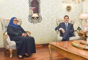 Chairman Senate, Syed Yousuf Raza Gillani in a meeting with the high commissioner of Rwanda to Pakistan, Fatou Harerimana