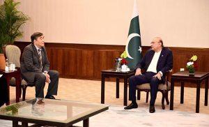 President Asif Ali Zardari in a meeting with Mr Wang Jian, CEO of Hangzhou Jinjiang Group in Sanya, China.