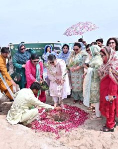 Vice Chancellor (VC) Government College Women University Faisalabad (GCWUF) Prof. Dr Kanwal Ameen is planting a sapling to inaugurate “Tree Plantation Drive” at Government College Women University Faisalabad (GCWUF) new campus