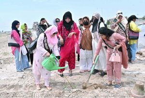 Vice Chancellor (VC) Government College Women University Faisalabad (GCWUF) Prof. Dr Kanwal Ameen is planting a sapling to inaugurate “Tree Plantation Drive” at Government College Women University Faisalabad (GCWUF) new campus