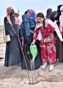 Vice Chancellor (VC) Government College Women University Faisalabad (GCWUF) Prof. Dr Kanwal Ameen is planting a sapling to inaugurate “Tree Plantation Drive” at Government College Women University Faisalabad (GCWUF) new campus