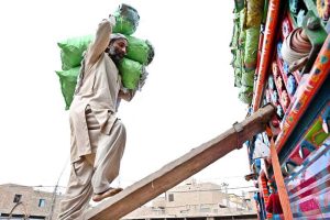A labourer loading bags filled with vegetable on delivery truck at Vegetable Market