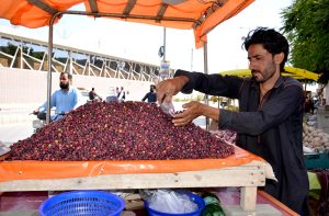 Man decorates Falsa fruits to attract the customers at Joint Road.