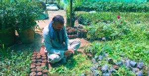 HAR steps up nursery care to enhance urban greenery
