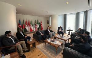 Education, innovation key to D-8 cooperation: Sohail Mahmood