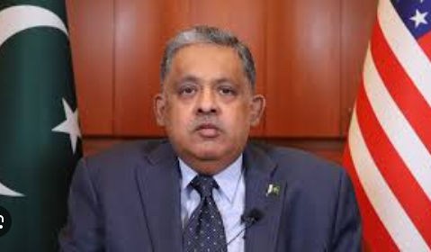 Rizwan Saeed