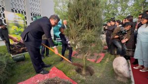 Pakistan Embassy Beijing marks 75th anniversary of Pak-China ties with chancery showcase, tree plantation