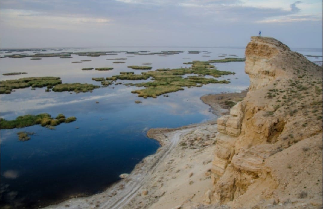 New desert ecosystem emerges on dried seabed of ‘Aral Sea’