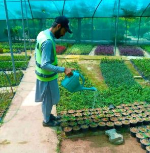 HAR steps up nursery care to enhance urban greenery