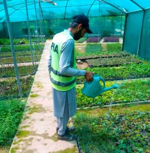 HAR steps up nursery care to enhance urban greenery