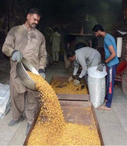 Workers are busy roasting grams at their workplace