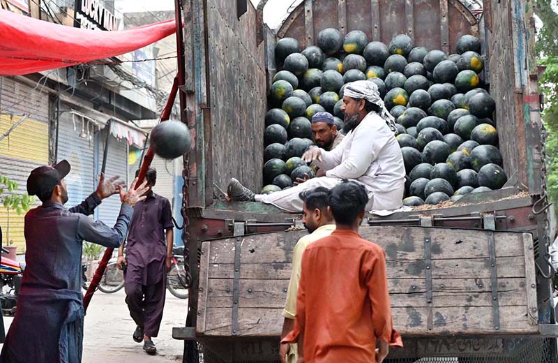 Labourers are busy unloading watermelons from delivery truck at a roadside stall