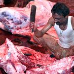 A butcher slaughters sacrificial animal on the first day of Eidul Azha at Madani Markaz Faizan e Madina SITE Area