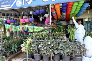 A street vendor sells colorful pet fish packed in plastic bags hanging on his bicycle to attract customers near H-9 Nursery in the federal capital