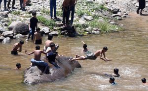 Livestock vendors wash young goats in the waters of Korang Nullah ahead of sale preparations