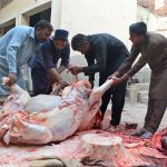 Butchers slaughtering sacrificial animal on the first day of Eidul Azha