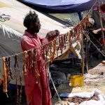 A gypsy man spreading salted meat under the sun for drying at Ring Road area following Eid-ul-Azha festivities