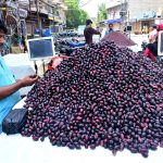 A vendor displays fresh jamun on his handcart to attract customers at Gul Center Chowk