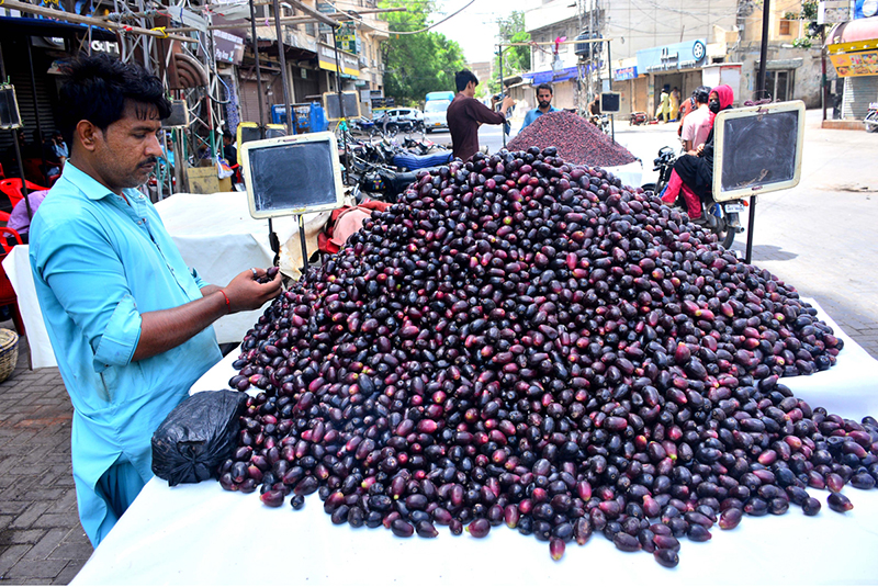 A vendor displays fresh jamun on his handcart to attract customers at Gul Center Chowk