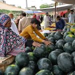 A woman selects watermelon at a roadside stall