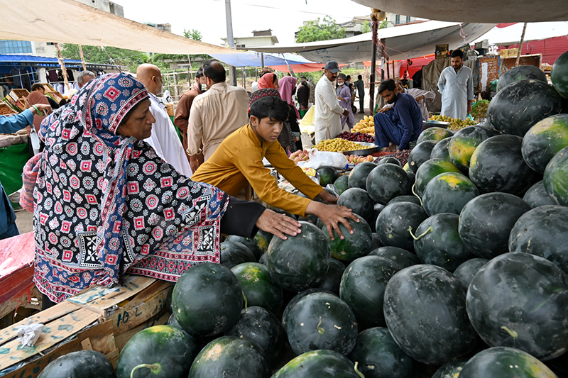A woman selects watermelon at a roadside stall