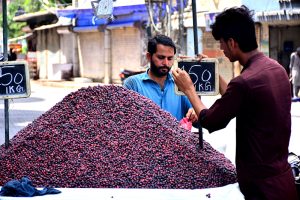 A vendor displays fresh jamun on his handcart to attract customers at Gul Center Chowk