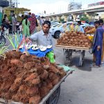 Roadside vendors sell coconuts from handcarts along Murree Road in the Commercial Market area