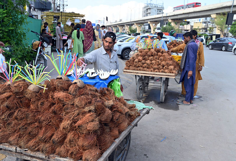 Roadside vendors sell coconuts from handcarts along Murree Road in the Commercial Market area