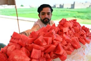 A vendor displaying pieces of watermelons to attract the customers during hot day in the city.
