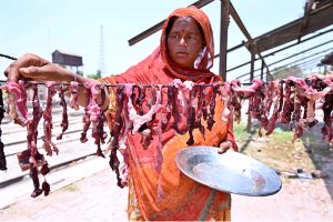 A nomadic woman spreads salted meat under the sun for drying near the Railway Station following Eid al-Azha festivities