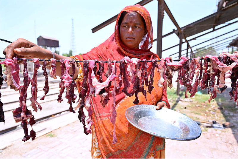 A nomadic woman spreads salted meat under the sun for drying near the Railway Station following Eid al-Azha festivities