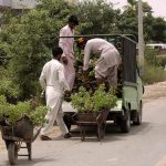 Workers are loading flowering plants and saplings from a roadside nursery onto a vehicle for delivery to customers in the city