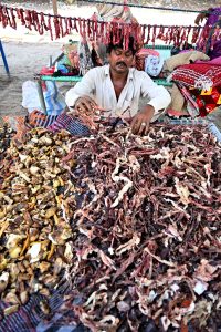 A nomadic woman spreads salted meat under the sun for drying near the Railway Station following Eid al-Azha festivities