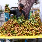 A vendor sorts and displays fresh lychees at a roadside stall during the fruit season