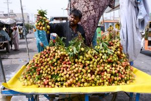 A vendor sorts and displays fresh lychees at a roadside stall during the fruit season