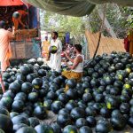Vendors unload and sort a large consignment of watermelons from a truck at a roadside stall, as seasonal fruit trade gains momentum in the city